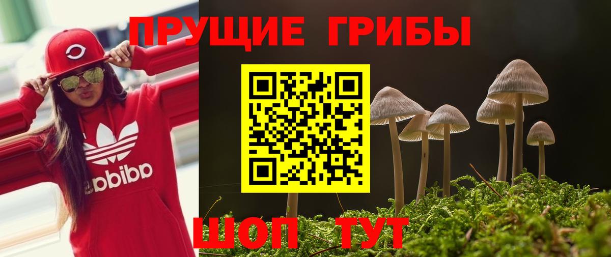 Псилоцибиновые грибы Cubensis  Вход с VPN  Псилоцибиновые грибы прущие грибы  Дивногорск 