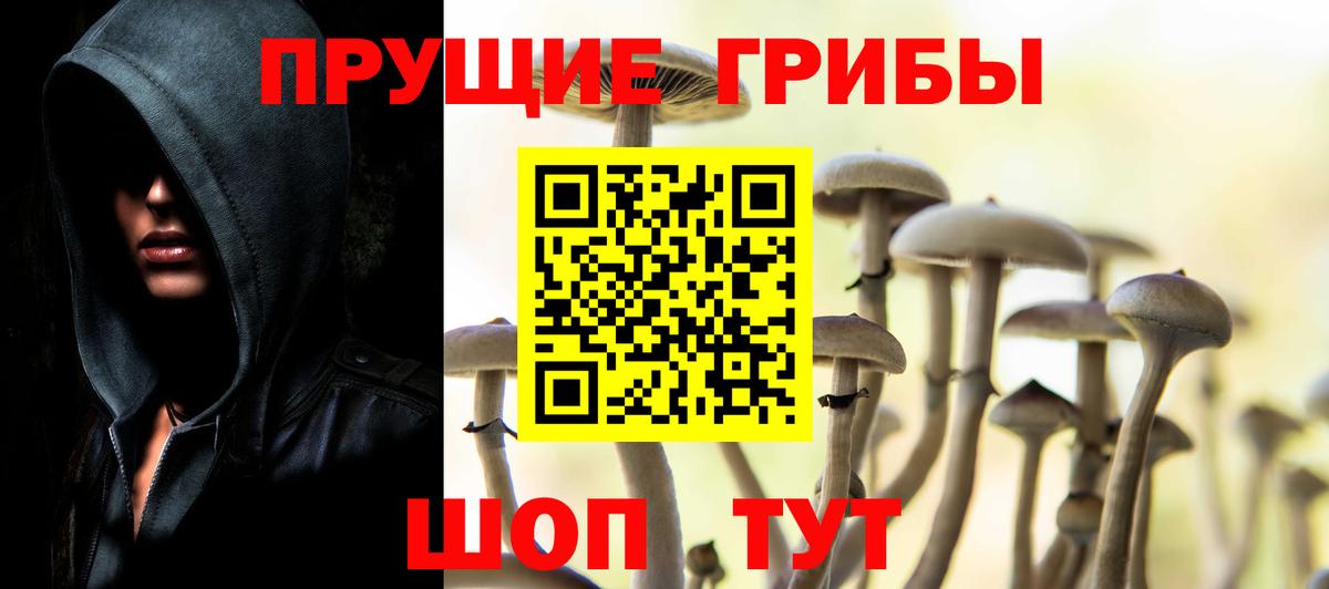 Галлюциногенные грибы мицелий Дивногорск